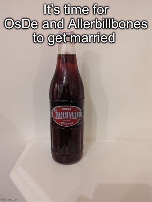 Cheerwine | It’s time for OsDe and Allerbillbones to get married | image tagged in cheerwine | made w/ Imgflip meme maker