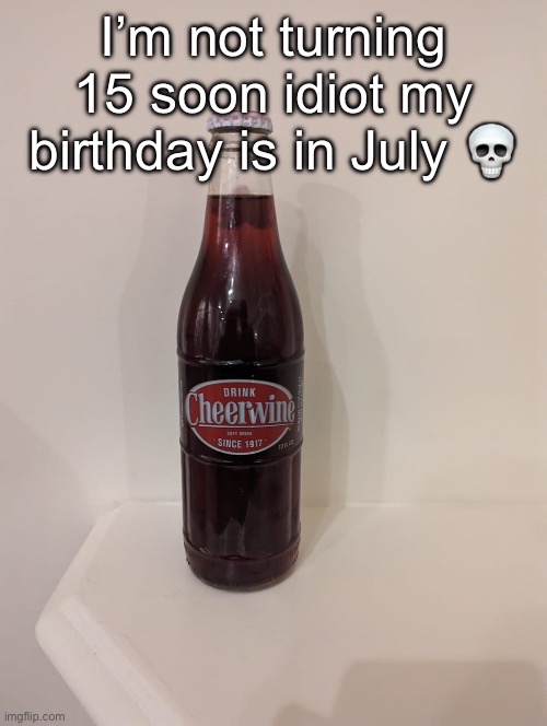 @Iapetus/Silver/whatever his current username is since he changes it every two seconds | I’m not turning 15 soon idiot my birthday is in July 💀 | image tagged in cheerwine | made w/ Imgflip meme maker