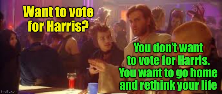 Death Stick, Vote for Harris.  Same thing. | Want to vote for Harris? You don’t want to vote for Harris.
You want to go home and rethink your life | image tagged in go home and re-think your life,vote | made w/ Imgflip meme maker