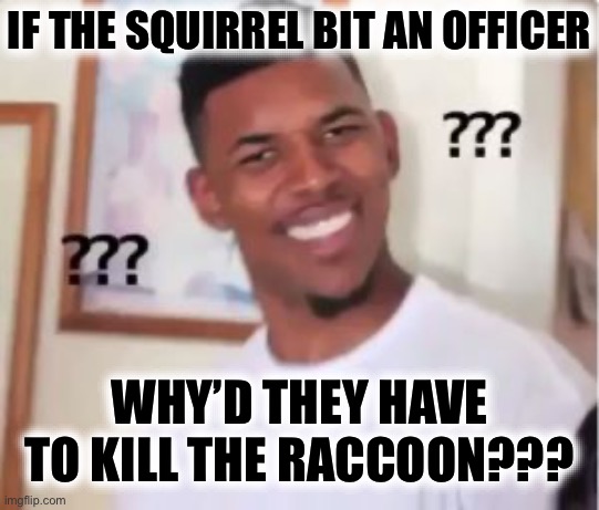 Nick Young | IF THE SQUIRREL BIT AN OFFICER WHY’D THEY HAVE TO KILL THE RACCOON??? | image tagged in nick young | made w/ Imgflip meme maker