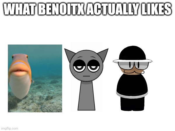 WHAT BENOITX ACTUALLY LIKES | made w/ Imgflip meme maker