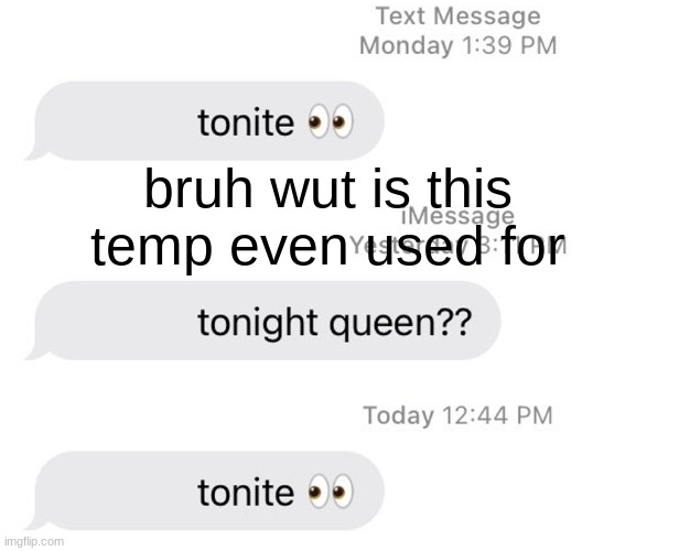 Borat 2 Tonight Queen?? | bruh wut is this temp even used for | image tagged in borat 2 tonight queen | made w/ Imgflip meme maker