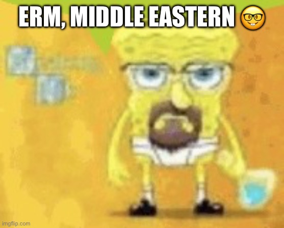 breaking bad spunchbop | ERM, MIDDLE EASTERN ? | image tagged in breaking bad spunchbop | made w/ Imgflip meme maker