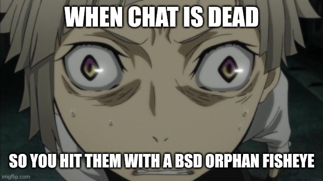Lol bro is a man-eating tiger chat | WHEN CHAT IS DEAD; SO YOU HIT THEM WITH A BSD ORPHAN FISHEYE | image tagged in fisheye stare | made w/ Imgflip meme maker