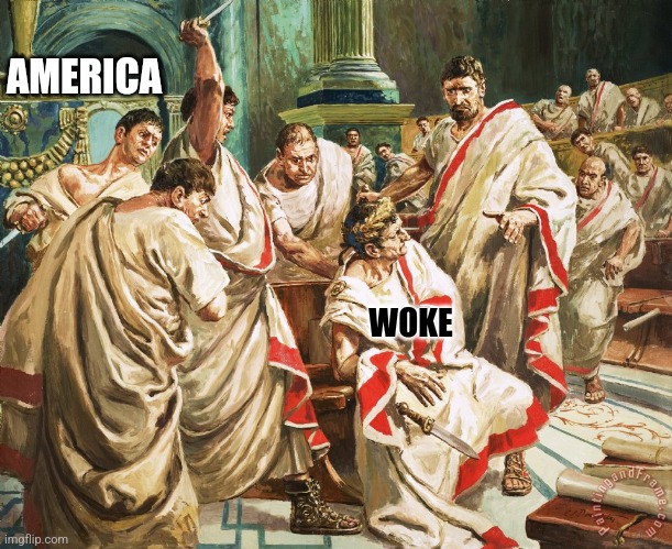 Vote for the end of the woke scourge | AMERICA; WOKE | image tagged in julius caesar meme,vote,election,woke | made w/ Imgflip meme maker