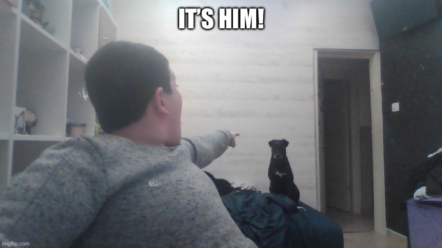 ITS HIM / HER | IT’S HIM! | image tagged in its him / her | made w/ Imgflip meme maker