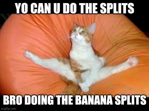 Hi | YO CAN U DO THE SPLITS; BRO DOING THE BANANA SPLITS | image tagged in cat with gymnastics | made w/ Imgflip meme maker