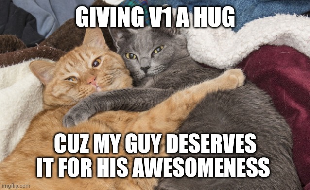 Bro deserves it | GIVING V1 A HUG; CUZ MY GUY DESERVES IT FOR HIS AWESOMENESS | image tagged in two cats hugging | made w/ Imgflip meme maker