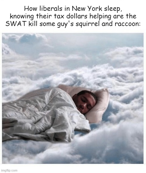 How I sleep knowing | How liberals in New York sleep, knowing their tax dollars helping are the SWAT kill some guy's squirrel and raccoon: | image tagged in how i sleep knowing | made w/ Imgflip meme maker