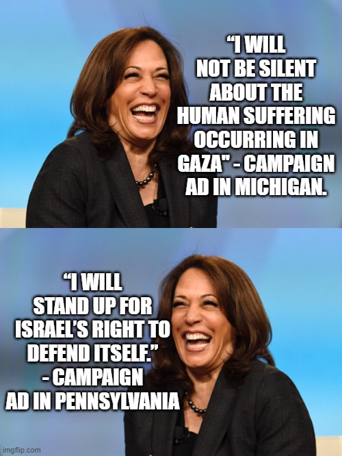 Two ads ran the same day.  One state with a large Muslim population the other with a large Jewish population. | “I WILL NOT BE SILENT ABOUT THE HUMAN SUFFERING OCCURRING IN GAZA" - CAMPAIGN AD IN MICHIGAN. “I WILL STAND UP FOR ISRAEL’S RIGHT TO DEFEND ITSELF.” - CAMPAIGN AD IN PENNSYLVANIA | image tagged in two faced harris,harris has no plans just rhetoric | made w/ Imgflip meme maker