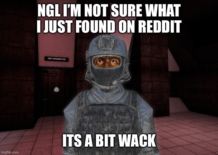 Idk how y’all would react to it so I’m not posting it | NGL I’M NOT SURE WHAT I JUST FOUND ON REDDIT; ITS A BIT WACK | made w/ Imgflip meme maker