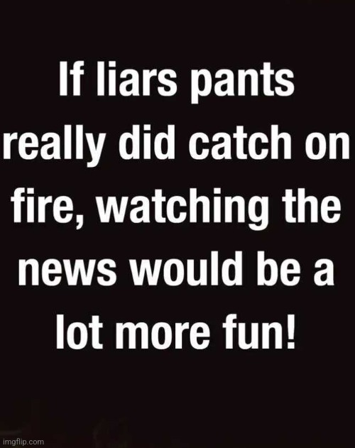 Liars and Fire | image tagged in liars and fire,tv,liars,fun,true | made w/ Imgflip meme maker