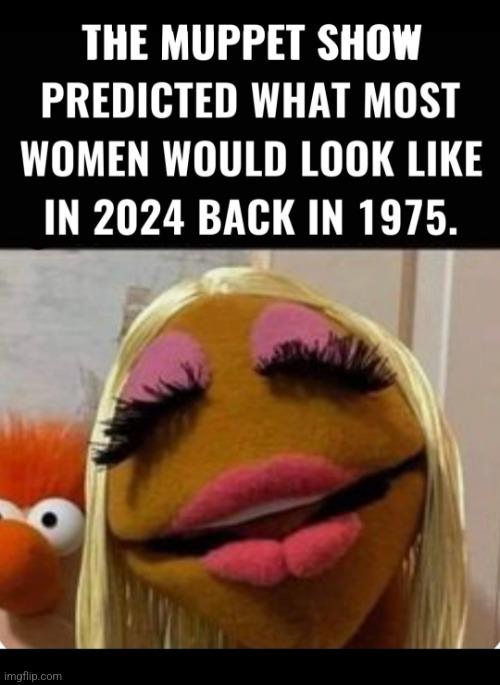 Predictions | image tagged in sesame street,muppets,true,fake,women,funny | made w/ Imgflip meme maker