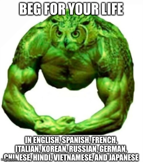 Buff duolingo | BEG FOR YOUR LIFE IN ENGLISH, SPANISH, FRENCH, ITALIAN, KOREAN, RUSSIAN, GERMAN, CHINESE, HINDI, VIETNAMESE, AND JAPANESE | image tagged in buff duolingo | made w/ Imgflip meme maker