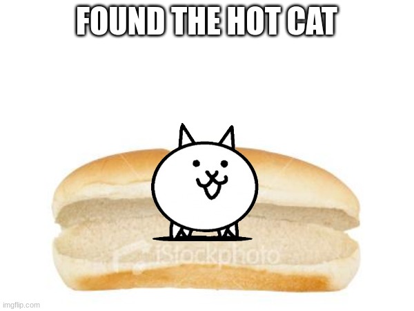 FOUND THE HOT CAT | made w/ Imgflip meme maker