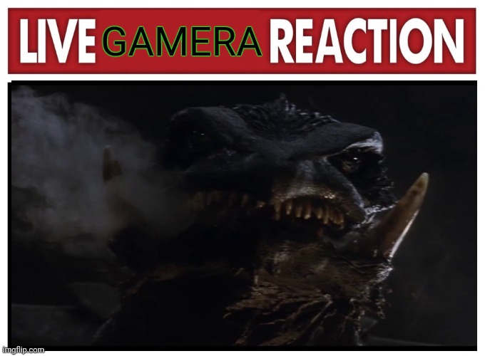 Live Gamera Reaction | GAMERA | image tagged in live reaction,gamera | made w/ Imgflip meme maker