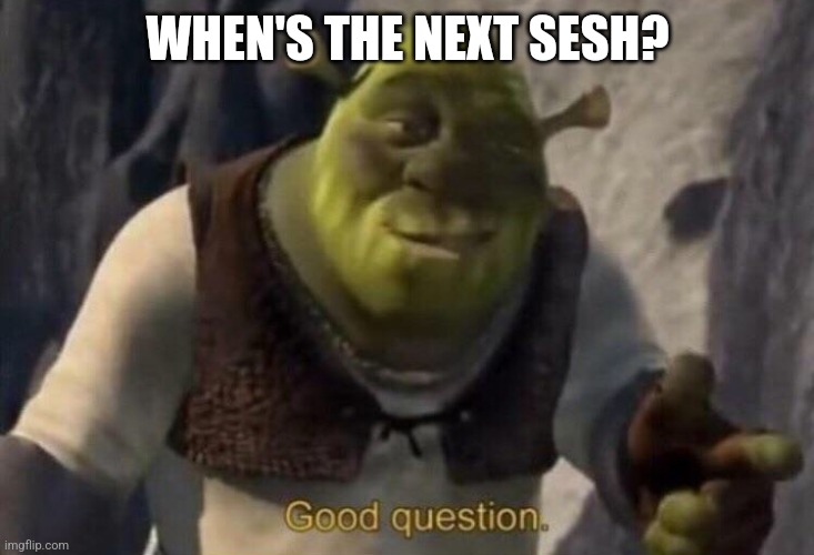 Shrek good question | WHEN'S THE NEXT SESH? | image tagged in shrek good question,memes | made w/ Imgflip meme maker