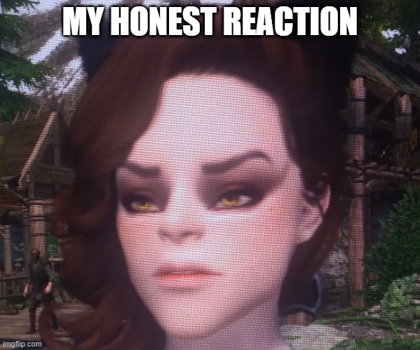 skyrim girl reaction | MY HONEST REACTION | image tagged in skyrim | made w/ Imgflip meme maker