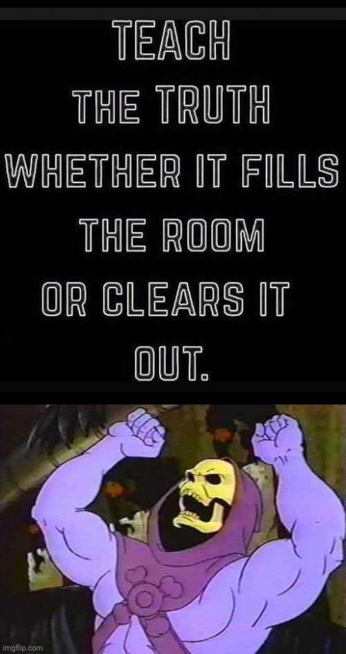 Skeletor life advice | image tagged in you fool skeletor,truth | made w/ Imgflip meme maker