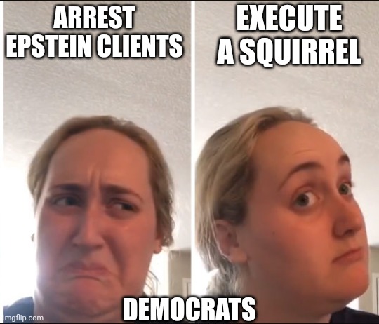 Kombucha Girl | ARREST EPSTEIN CLIENTS EXECUTE A SQUIRREL DEMOCRATS | image tagged in kombucha girl | made w/ Imgflip meme maker