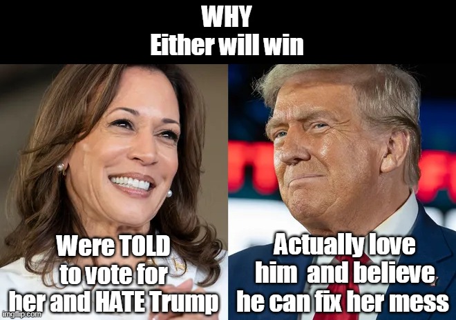 89% negative coverage for 9 years helped too | WHY
Either will win; Were TOLD to vote for her and HATE Trump; Actually love him  and believe he can fix her mess | image tagged in lemmings may elect harris meme | made w/ Imgflip meme maker