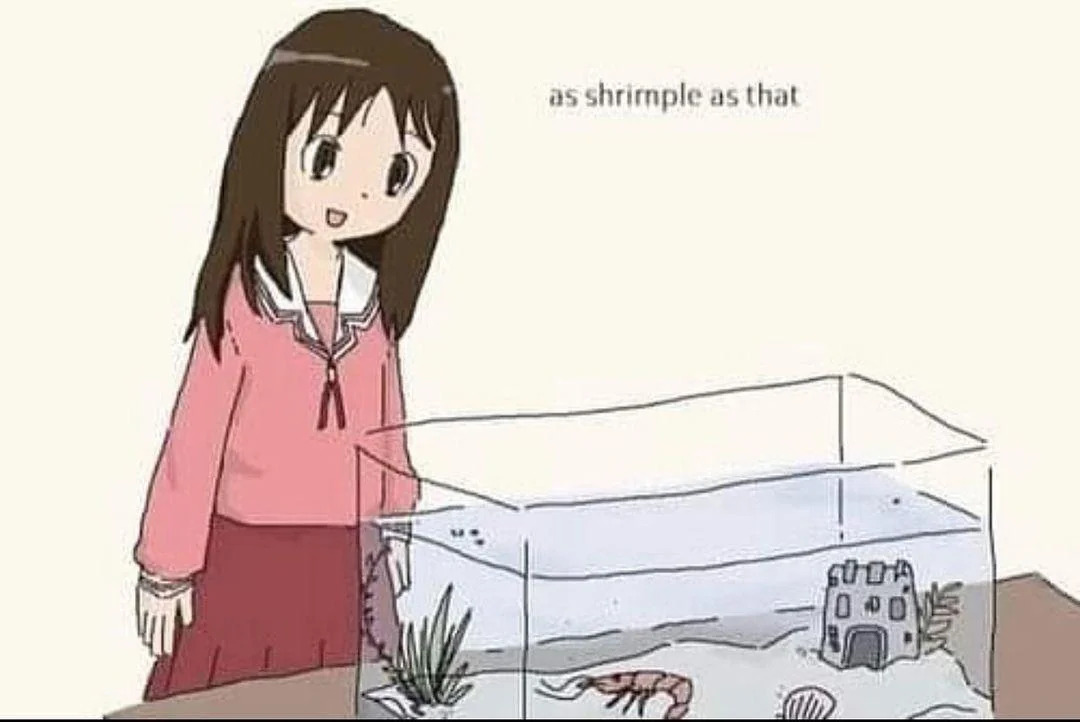 shrimple Blank Meme Template