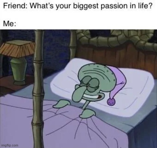 image tagged in life,passion,sleeping | made w/ Imgflip meme maker