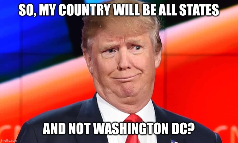 Trump cringes | SO, MY COUNTRY WILL BE ALL STATES AND NOT WASHINGTON DC? | image tagged in trump cringes | made w/ Imgflip meme maker