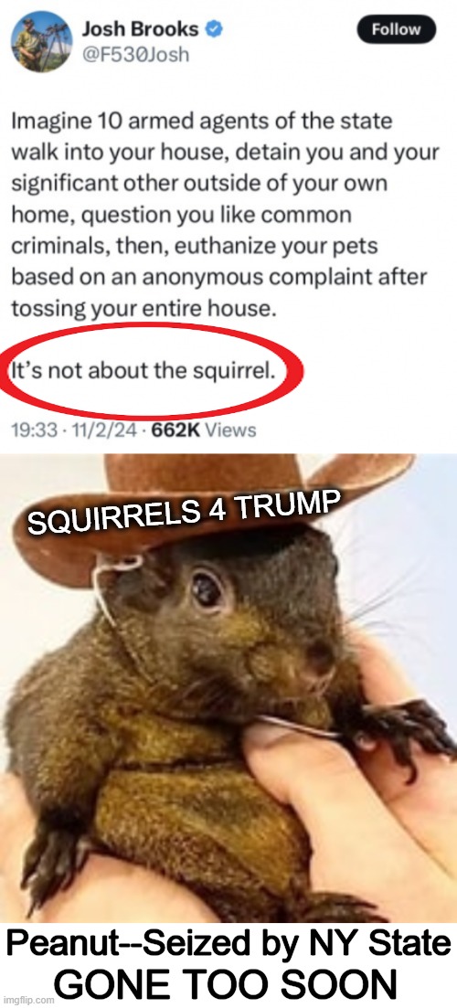 The Left Wants to Control Every Aspect of Your Life | SQUIRRELS 4 TRUMP; Peanut--Seized by NY State; GONE TOO SOON | image tagged in peanut--gone but not forgotten,gone too soon,new york,squirrel,trump supporter,euthanasia | made w/ Imgflip meme maker