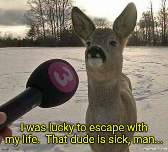 Deer interviewed | I was lucky to escape with my life.  That dude is sick, man... | image tagged in deer interviewed | made w/ Imgflip meme maker