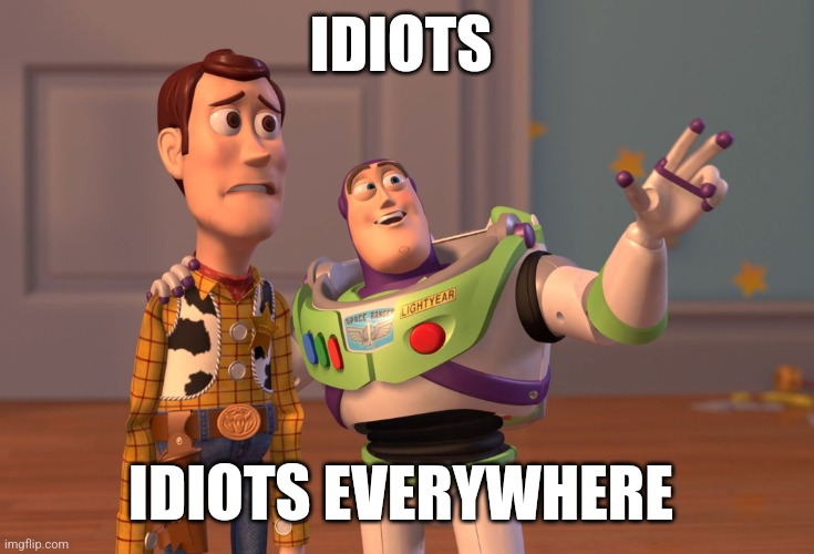 Idiots | IDIOTS; IDIOTS EVERYWHERE | image tagged in memes,x x everywhere,funny memes | made w/ Imgflip meme maker