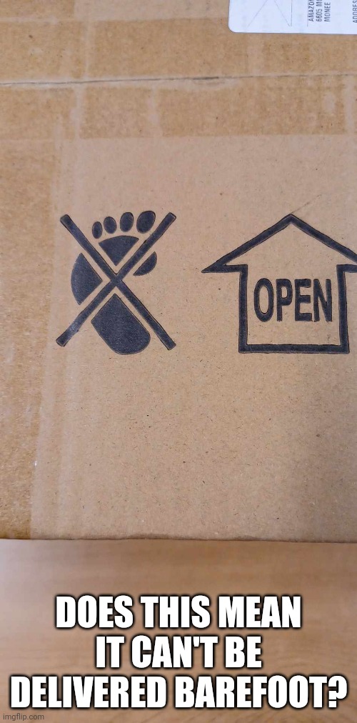 Bare feet Delivery | DOES THIS MEAN IT CAN'T BE DELIVERED BAREFOOT? | image tagged in special,delivery,feet | made w/ Imgflip meme maker