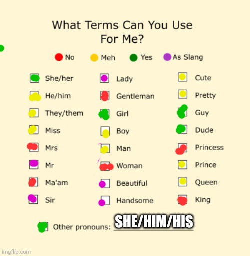 My first meme here! | SHE/HIM/HIS | image tagged in pronouns sheet,hello | made w/ Imgflip meme maker