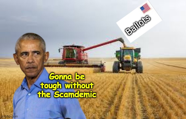 Fake Black selling a Fake Black | Ballots; Gonna be tough without the Scamdemic | image tagged in obama ballot harvesting meme | made w/ Imgflip meme maker