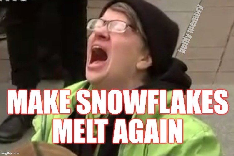 Trump 2024 | bulKy memery; MAKE SNOWFLAKES MELT AGAIN | image tagged in donald trump,trump,snowflake,snowflakes | made w/ Imgflip meme maker