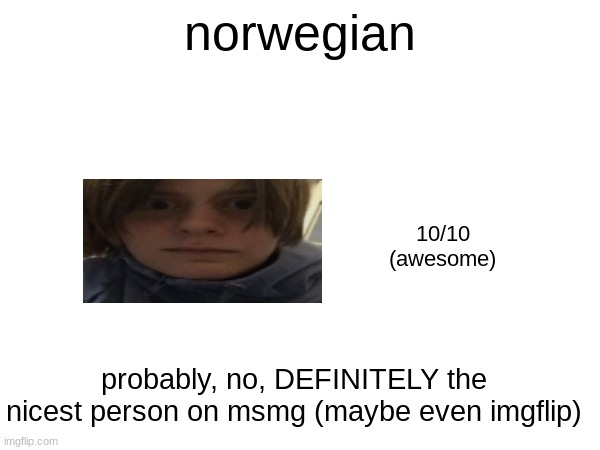 norwegian; 10/10
(awesome); probably, no, DEFINITELY the nicest person on msmg (maybe even imgflip) | made w/ Imgflip meme maker