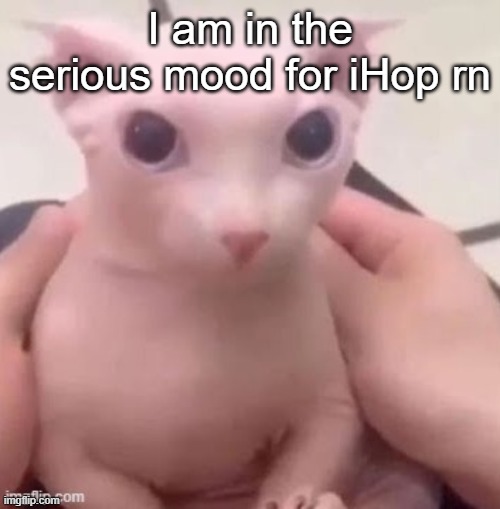 The eggs and the ham steak go hard ngl | I am in the serious mood for iHop rn | image tagged in bingus | made w/ Imgflip meme maker