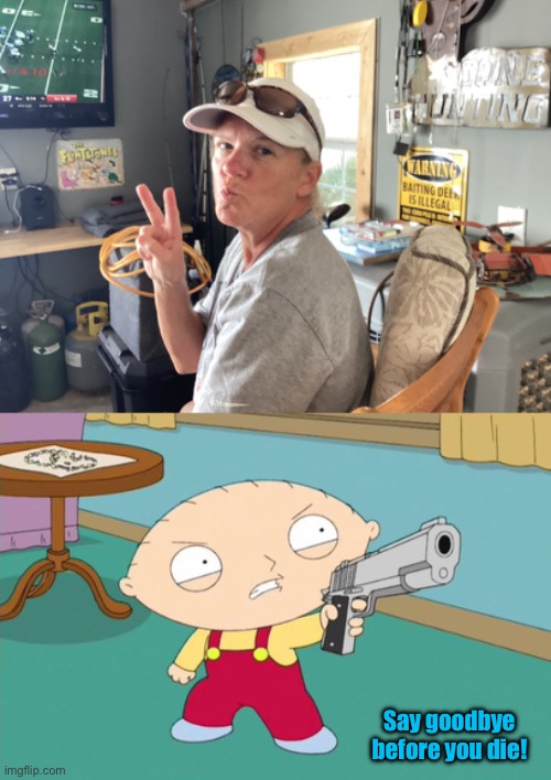 Stewie Griffin's Revenge | Say goodbye before you die! | image tagged in family guy,stewie griffin,revenge,texas,meme,angry | made w/ Imgflip meme maker