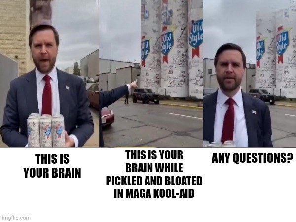 Your brain on MAGA | THIS IS YOUR BRAIN WHILE PICKLED AND BLOATED IN MAGA KOOL-AID; ANY QUESTIONS? THIS IS YOUR BRAIN | image tagged in maga | made w/ Imgflip meme maker