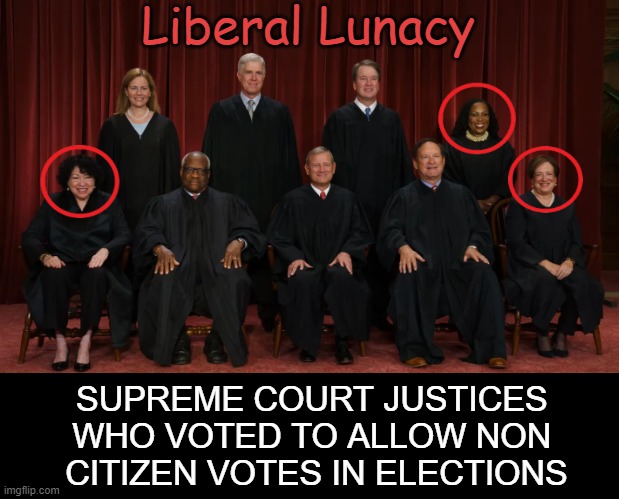 Example of WHY Liberalism Truly is a Mental Disorder | Liberal Lunacy; SUPREME COURT JUSTICES 
WHO VOTED TO ALLOW NON 
CITIZEN VOTES IN ELECTIONS | image tagged in current supreme court justices,voting,citizens,common sense,liberalism,opinion | made w/ Imgflip meme maker