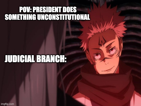 My meme | POV: PRESIDENT DOES SOMETHING UNCONSTITUTIONAL; JUDICIAL BRANCH: | image tagged in government | made w/ Imgflip meme maker