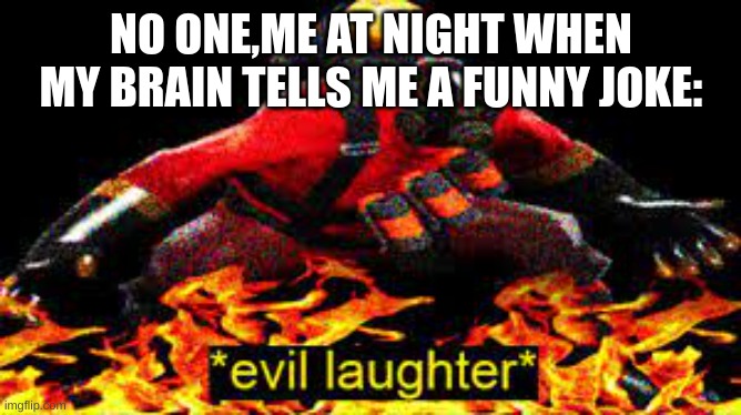 *evil laughter* | NO ONE,ME AT NIGHT WHEN MY BRAIN TELLS ME A FUNNY JOKE: | image tagged in evil laughter | made w/ Imgflip meme maker