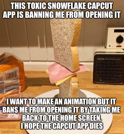 Standwich | THIS TOXIC SNOWFLAKE CAPCUT APP IS BANNING ME FROM OPENING IT; I WANT TO MAKE AN ANIMATION BUT IT 
BANS ME FROM OPENING IT BY TAKING ME 
BACK TO THE HOME SCREEN.
I HOPE THE CAPCUT APP DIES | image tagged in standwich | made w/ Imgflip meme maker