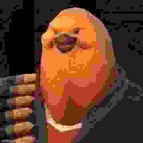 pootis | made w/ Imgflip meme maker