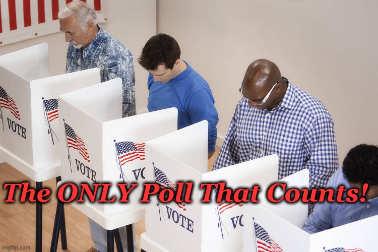 Vote | The ONLY Poll That Counts! | image tagged in voting booth | made w/ Imgflip meme maker