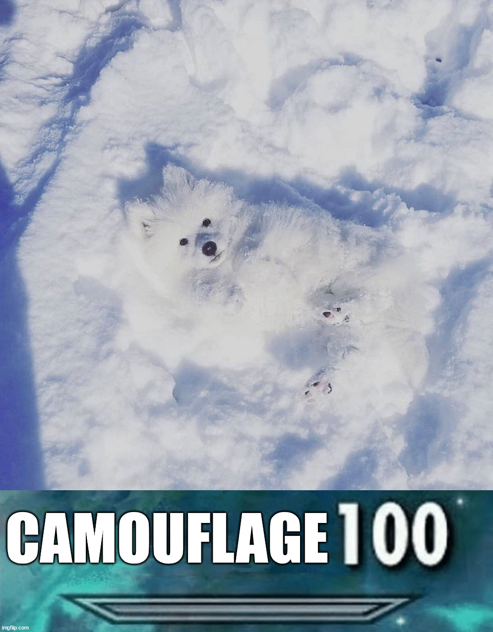 The nose and eyes give it away | CAMOUFLAGE | image tagged in skyrim skill meme | made w/ Imgflip meme maker