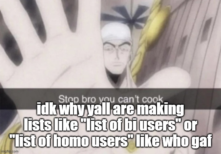 Stop bro you can't cook | idk why yall are making lists like "list of bi users" or "list of homo users" like who gaf | image tagged in stop bro you can't cook | made w/ Imgflip meme maker