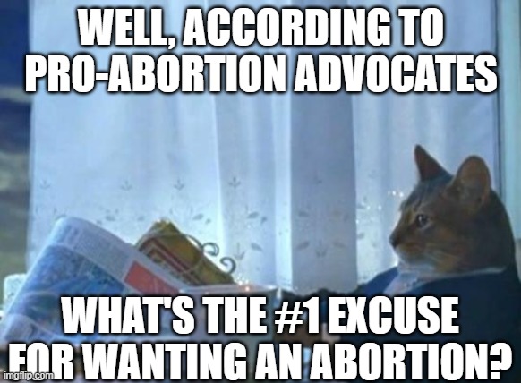 Cat newspaper | WELL, ACCORDING TO PRO-ABORTION ADVOCATES WHAT'S THE #1 EXCUSE FOR WANTING AN ABORTION? | image tagged in cat newspaper | made w/ Imgflip meme maker