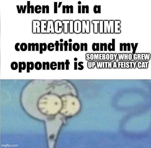 Speaking from personal experience, I could brew a whole pot of coffee before a cobra could even lunge at me B) | REACTION TIME; SOMEBODY WHO GREW UP WITH A FEISTY CAT | image tagged in whe i'm in a competition and my opponent is,cats | made w/ Imgflip meme maker