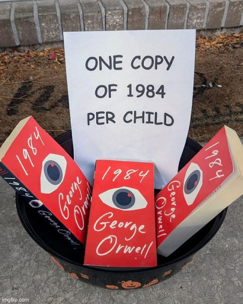 Literally 1984 | image tagged in literally 1984 | made w/ Imgflip meme maker